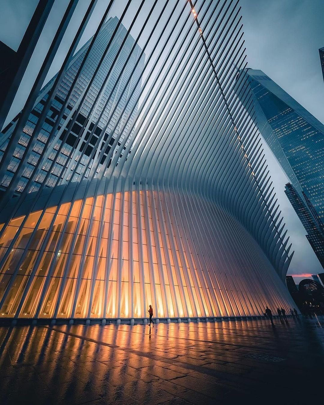 NYC, The Canvas Oculus